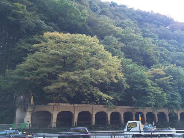 Masutomi Ryokan Хаконе Экстерьер фото